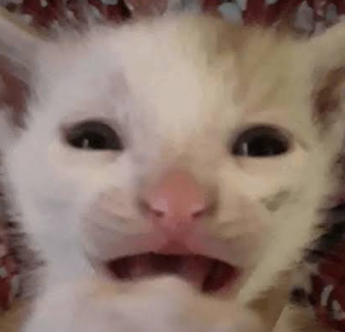 weary_cat Discord sticker