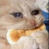 Billu_cry Discord sticker