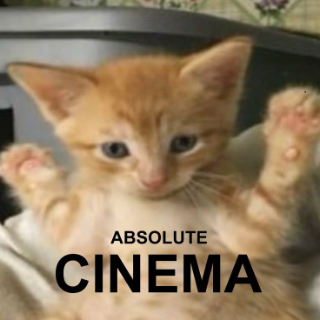 cinema cat Discord sticker