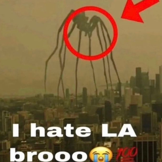 i hate la broooo