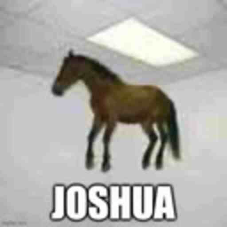 Joshua