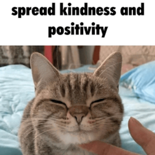 Positivity