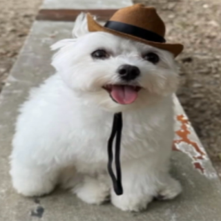 cowboy2 Discord sticker