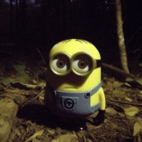 minion