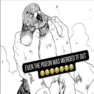 PigeonWeirdedOut