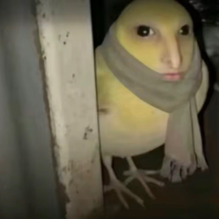 Come out to play… /yongbok