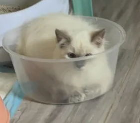 a wittle help? im stwuck...