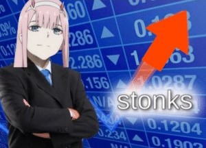 002stonks