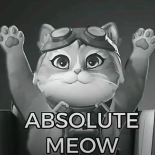 Absolute Meow