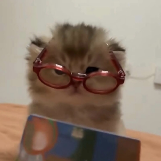 Tedhi medhi glasses gg/pakista