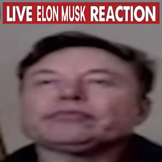 live elon musk reaction