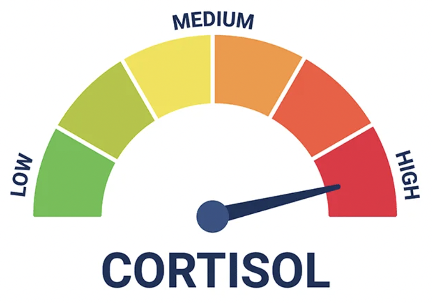 HighCortisol