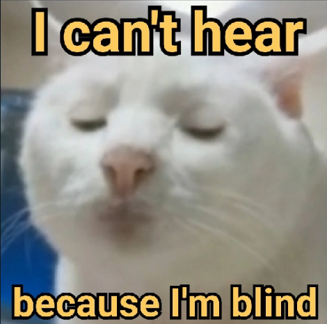 Blind
