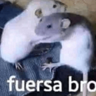 Fuersa bro Discord sticker