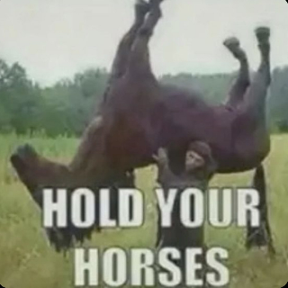 holdyourhorses Discord sticker