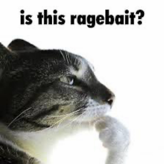 ragebait?