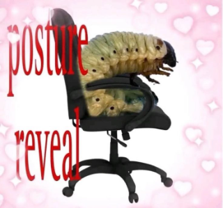 posture reveal