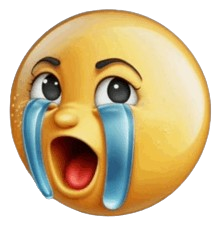 WAAAHHHHHH temu version