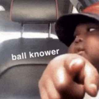 Ball Knower Discord sticker