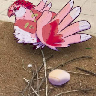 average nesting experience