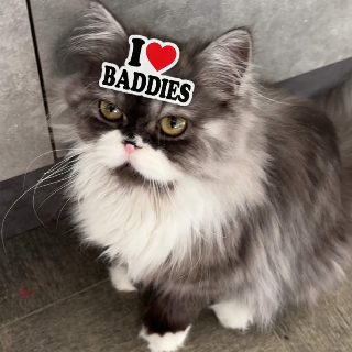 i love baddies | .gg/supacon