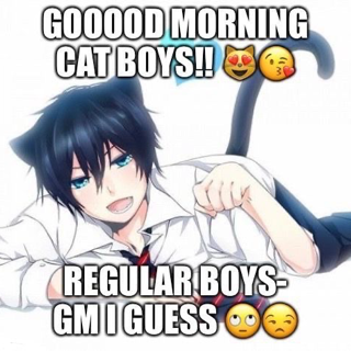 Cat boys ◇ .gg/tainted