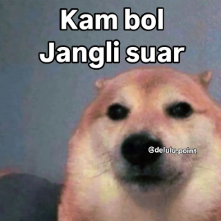 kaam bhol jangli suar