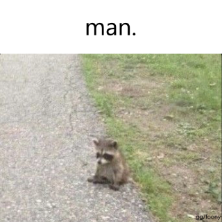 raccoon_man