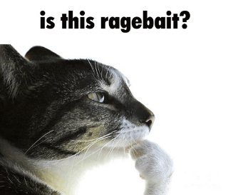 Is this ragebait? Discord sticker