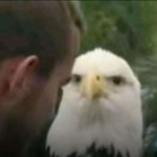 Eagle Discord sticker