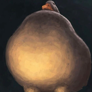Superior Duck