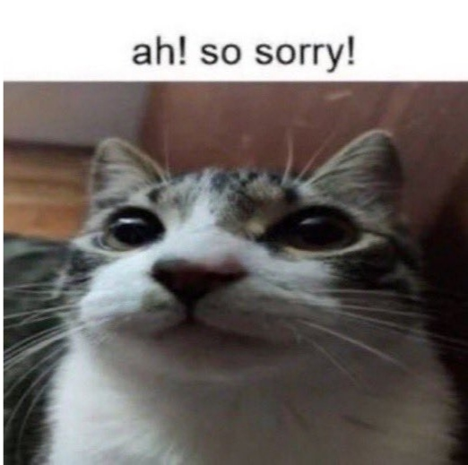 CatSorry Discord sticker