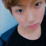jk stare (/bangtan) Discord sticker