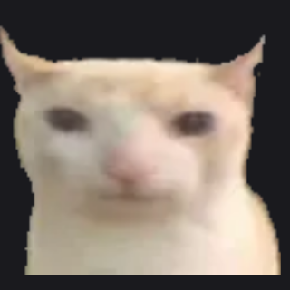 cat Discord sticker