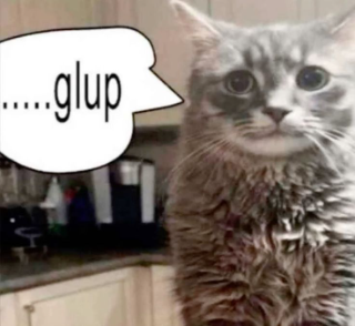Cat Gulp Discord sticker