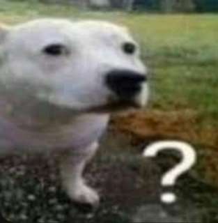 Dog Confused Discord sticker