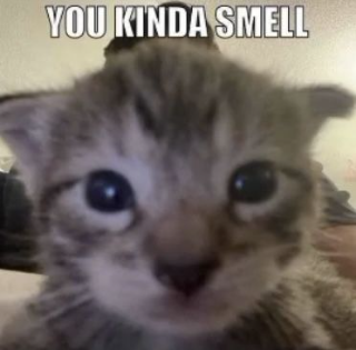 you smell Discord sticker