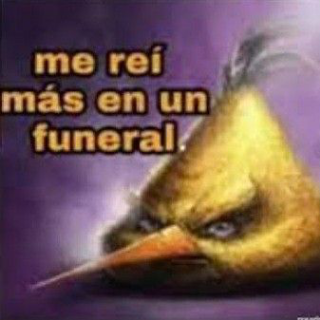 Risa