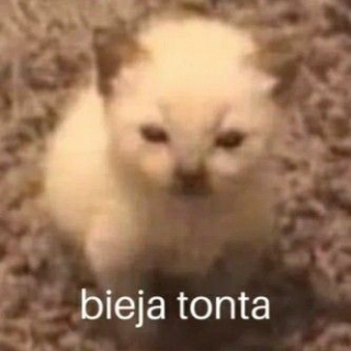 Vieja