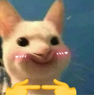Ngại quá Discord sticker