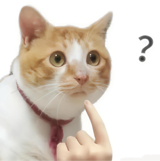 Hở Discord sticker