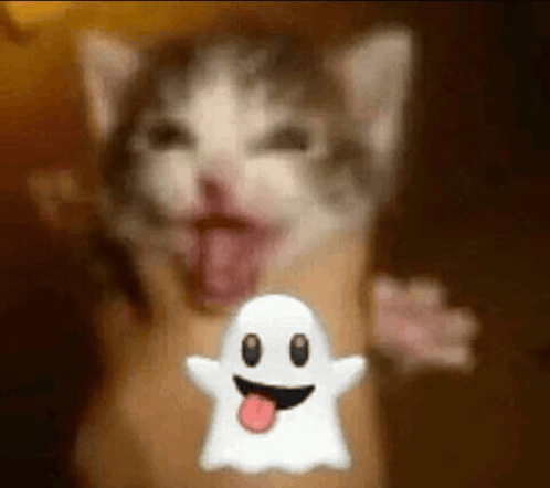  Waza Discord sticker