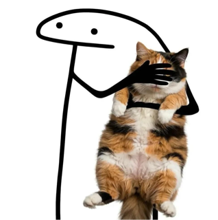 Fancamqua Discord sticker
