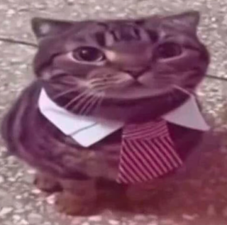 Business Cat Discord sticker
