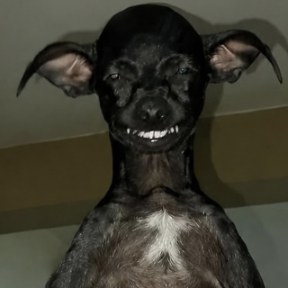 just woke up .gg/mental Discord sticker