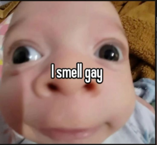 i smell gay Discord sticker