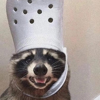 God_coon Discord sticker