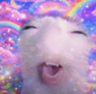 DM_cat Discord sticker