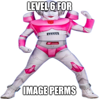 Lvl6imageperms Discord sticker