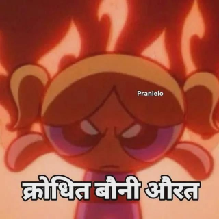 Bauni  Discord sticker